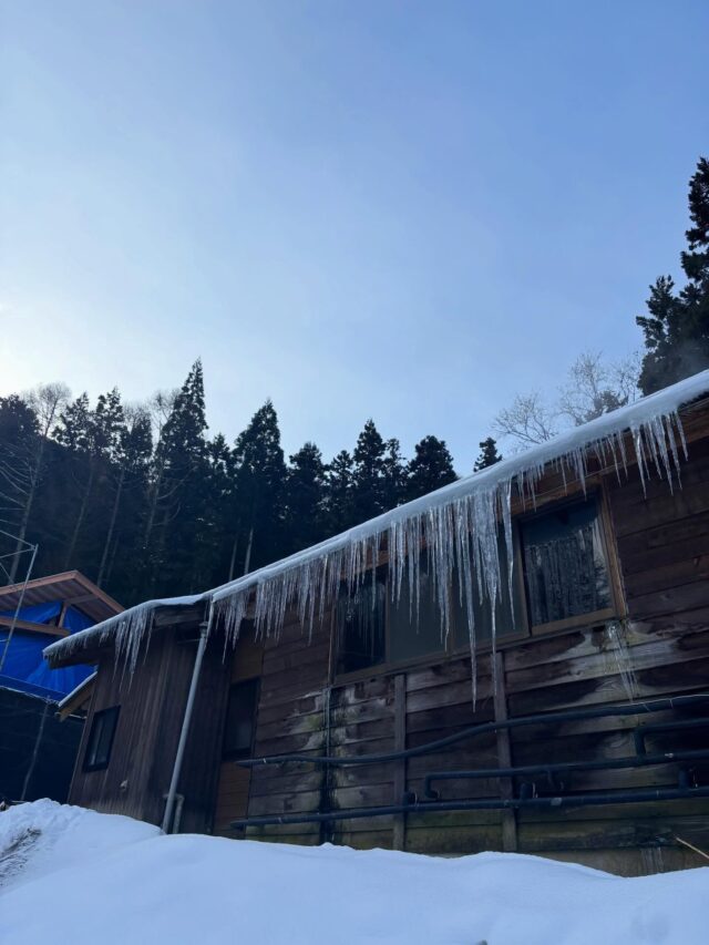 .
今年もツララ成長中です❄️