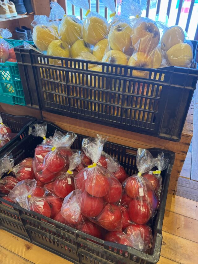 .
りんご🍎
農家さんが上手に管理、保存されているおかげで、
この時期でも美味しいりんごがいただけます🥹

加工品も高山村のもの
本当にどれもおいしいです😋