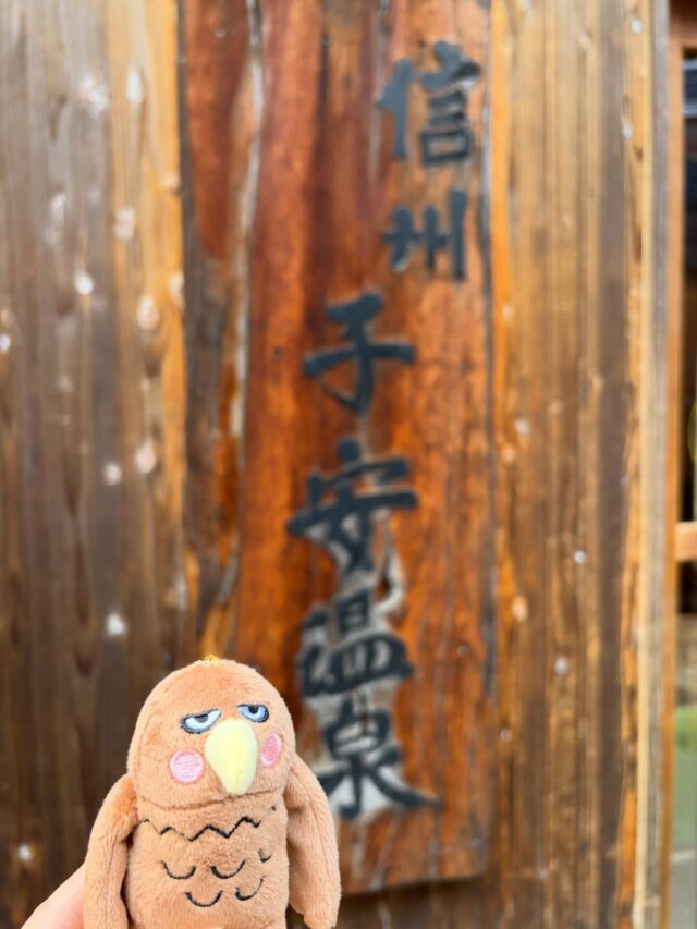 .
信州高山村のご当地キャラクター
#高山タカオ くんが流行っているので、
子安温泉の看板の前でポーズをとらせてみました🫶

※子安温泉でのタカオくんグッズの販売は、ありません。